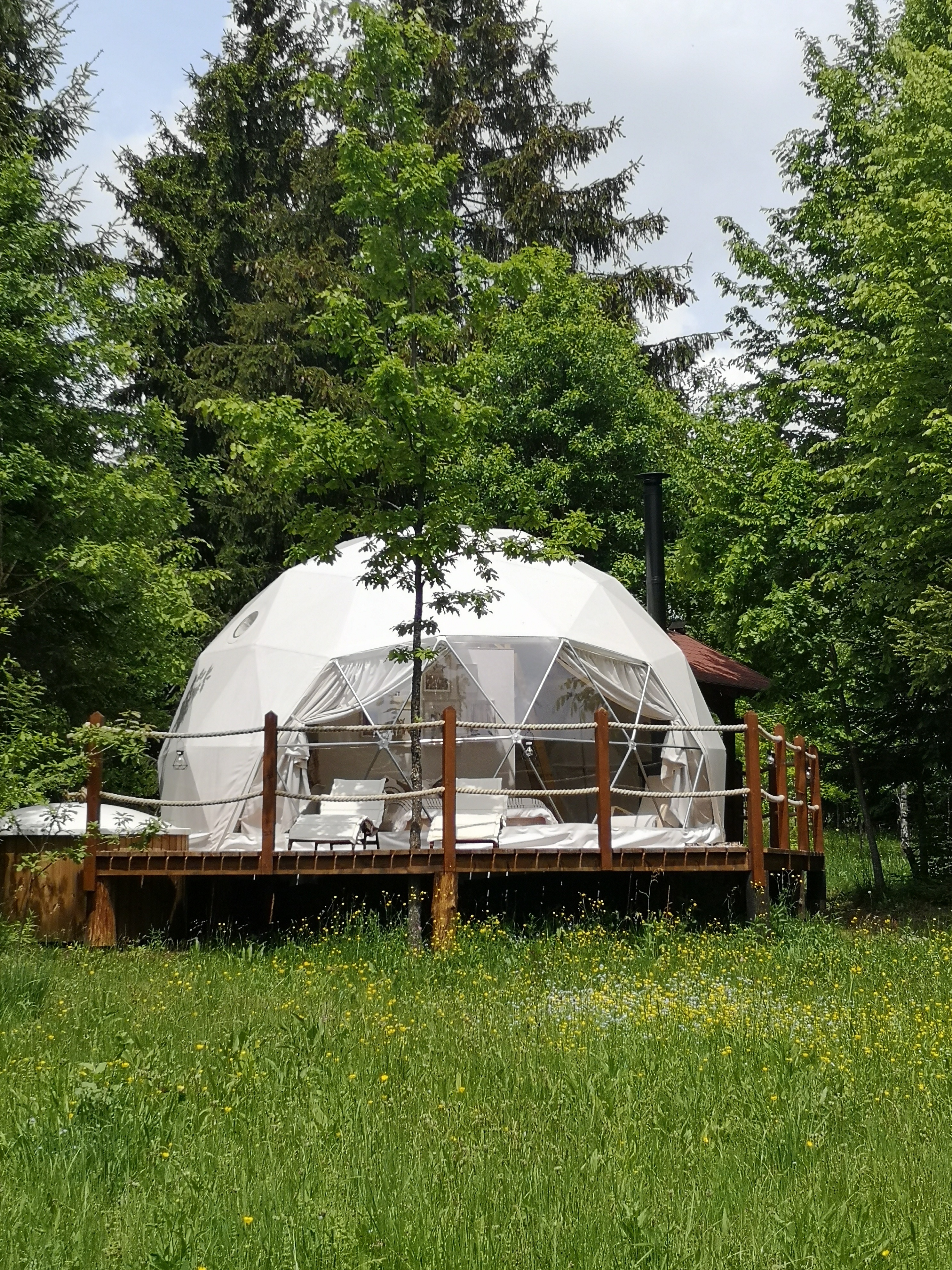 Medve Dome glamping dome surrounded by nature