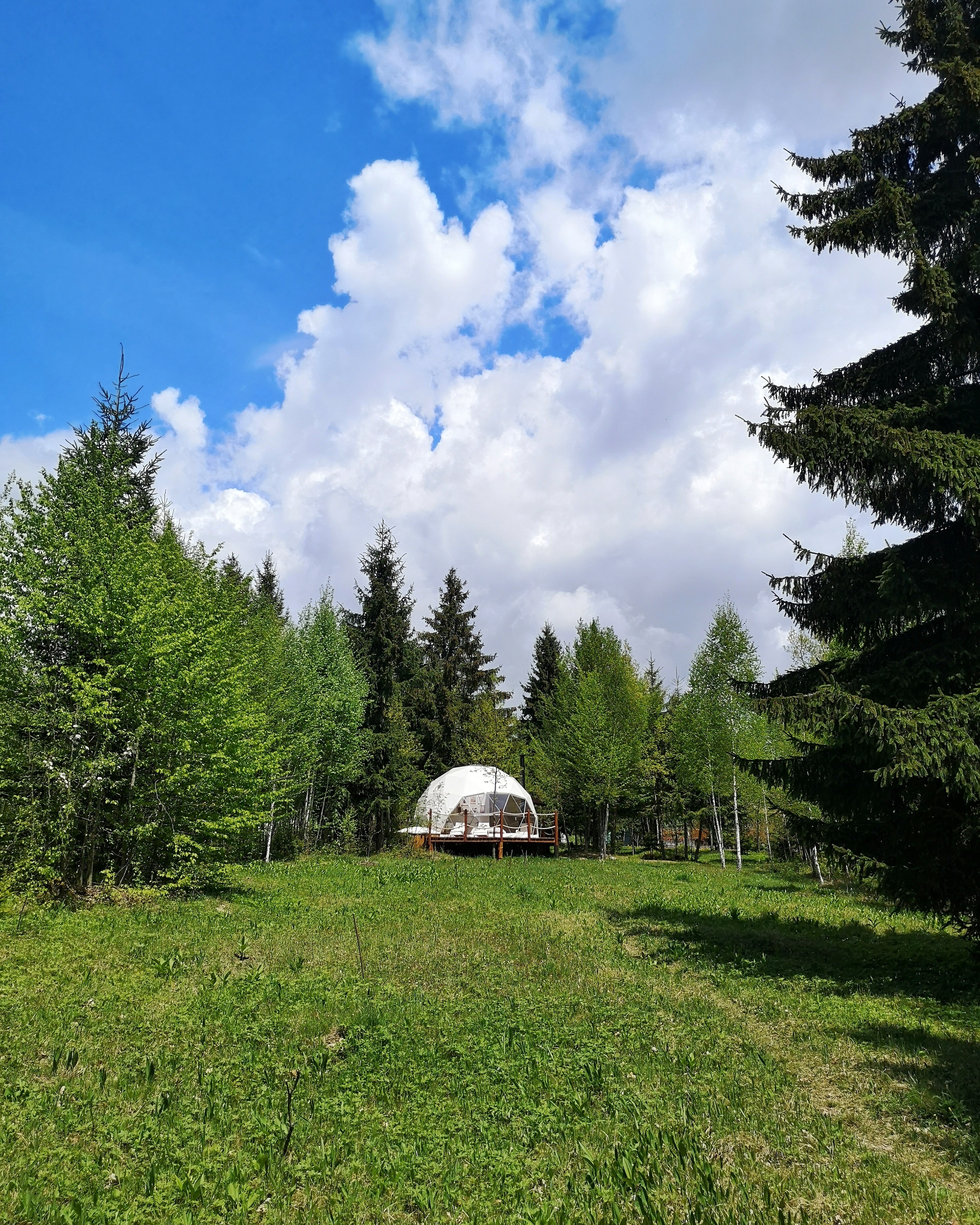 Garden View at Medve Dome