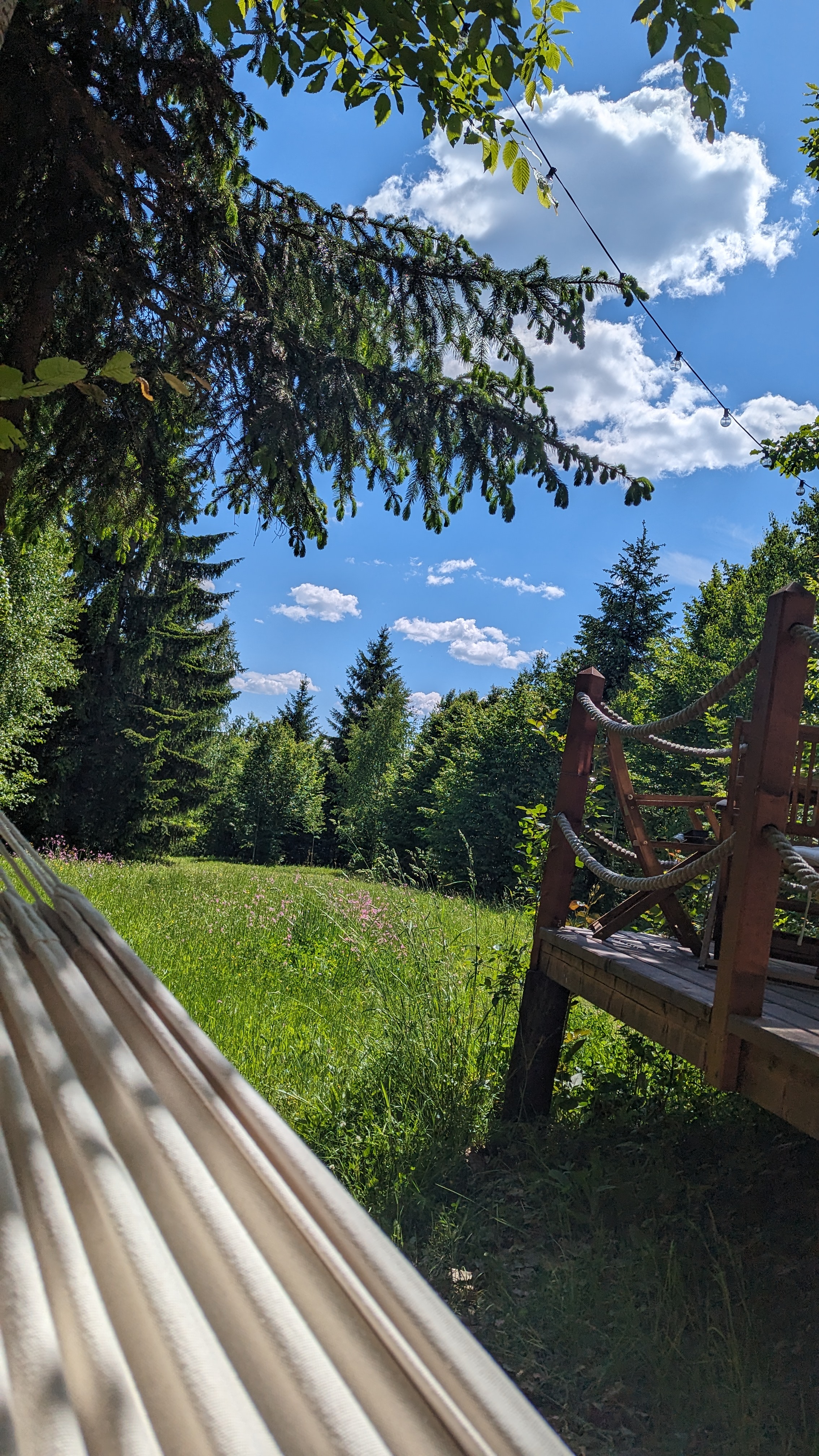 Hammock at Medve Dome