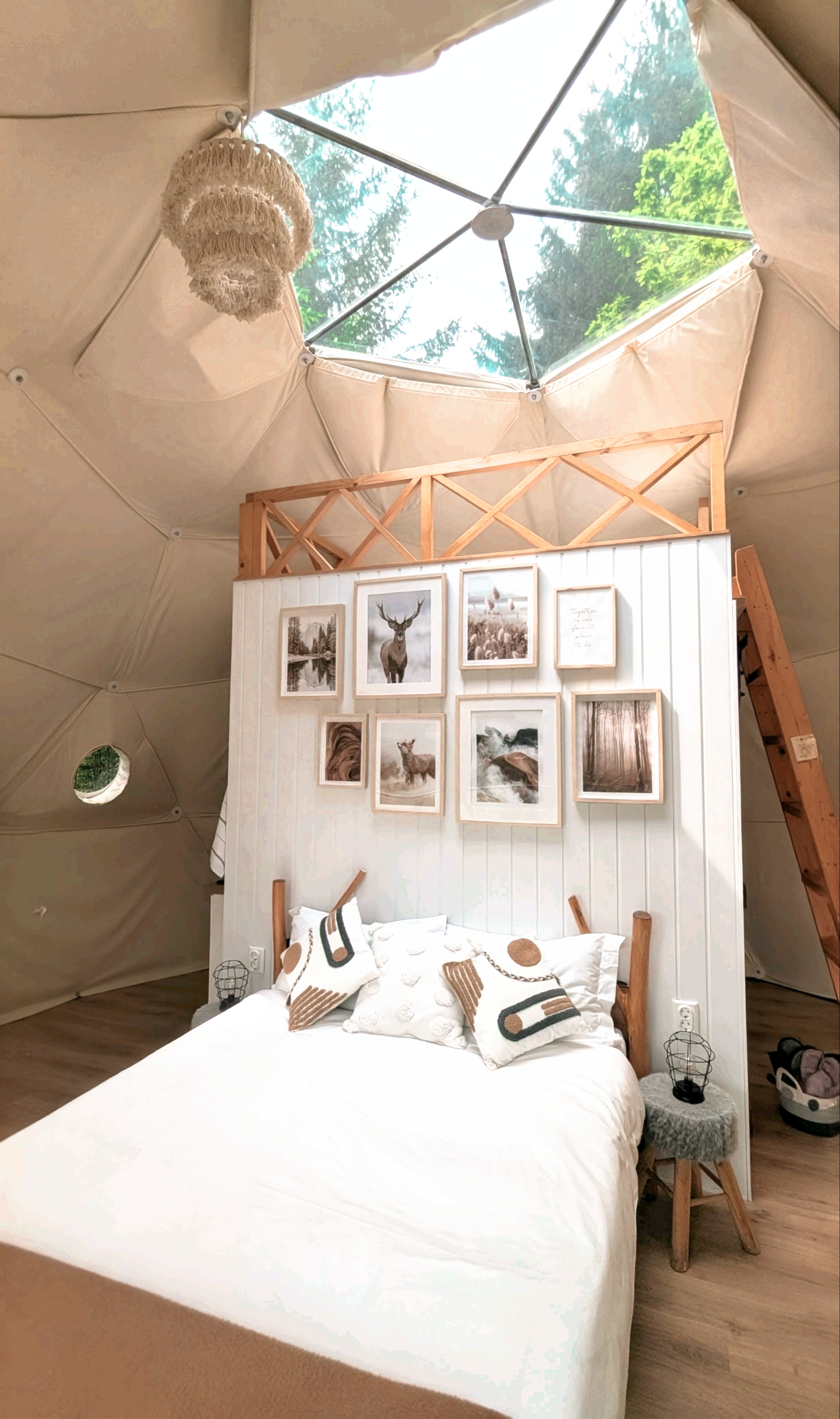 Living Room at Medve Dome