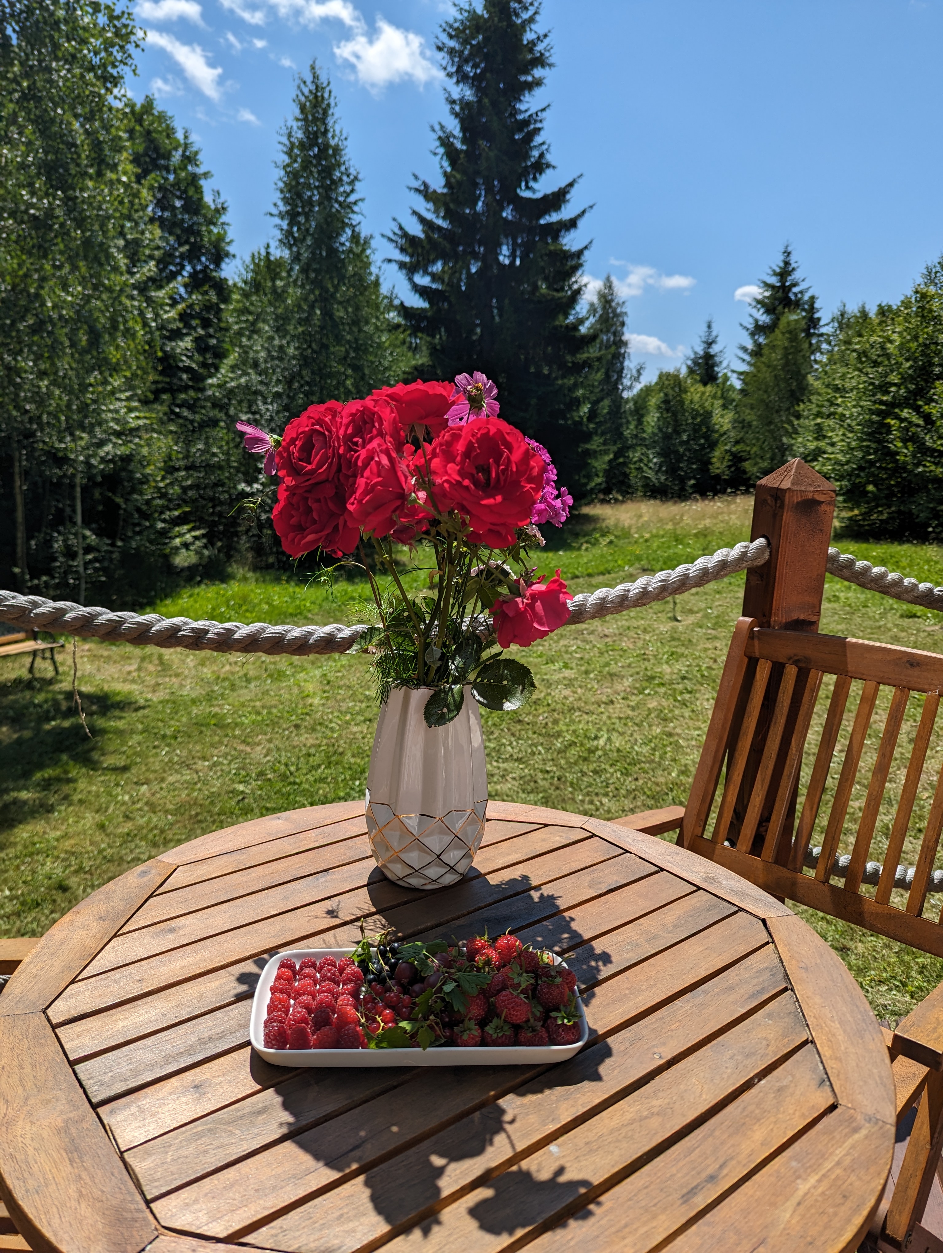 Terrace at Medve Dome