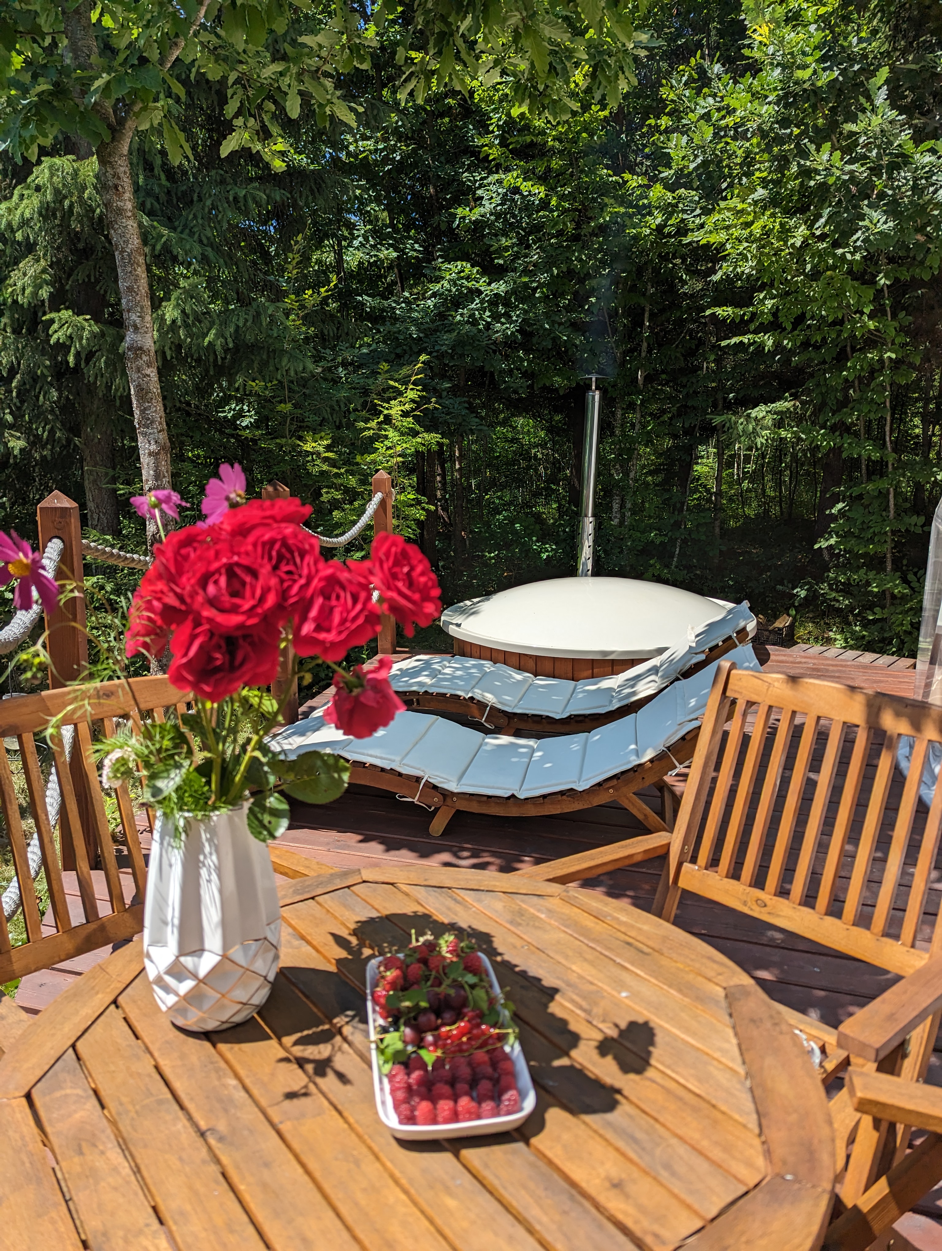 Terrace at Medve Dome