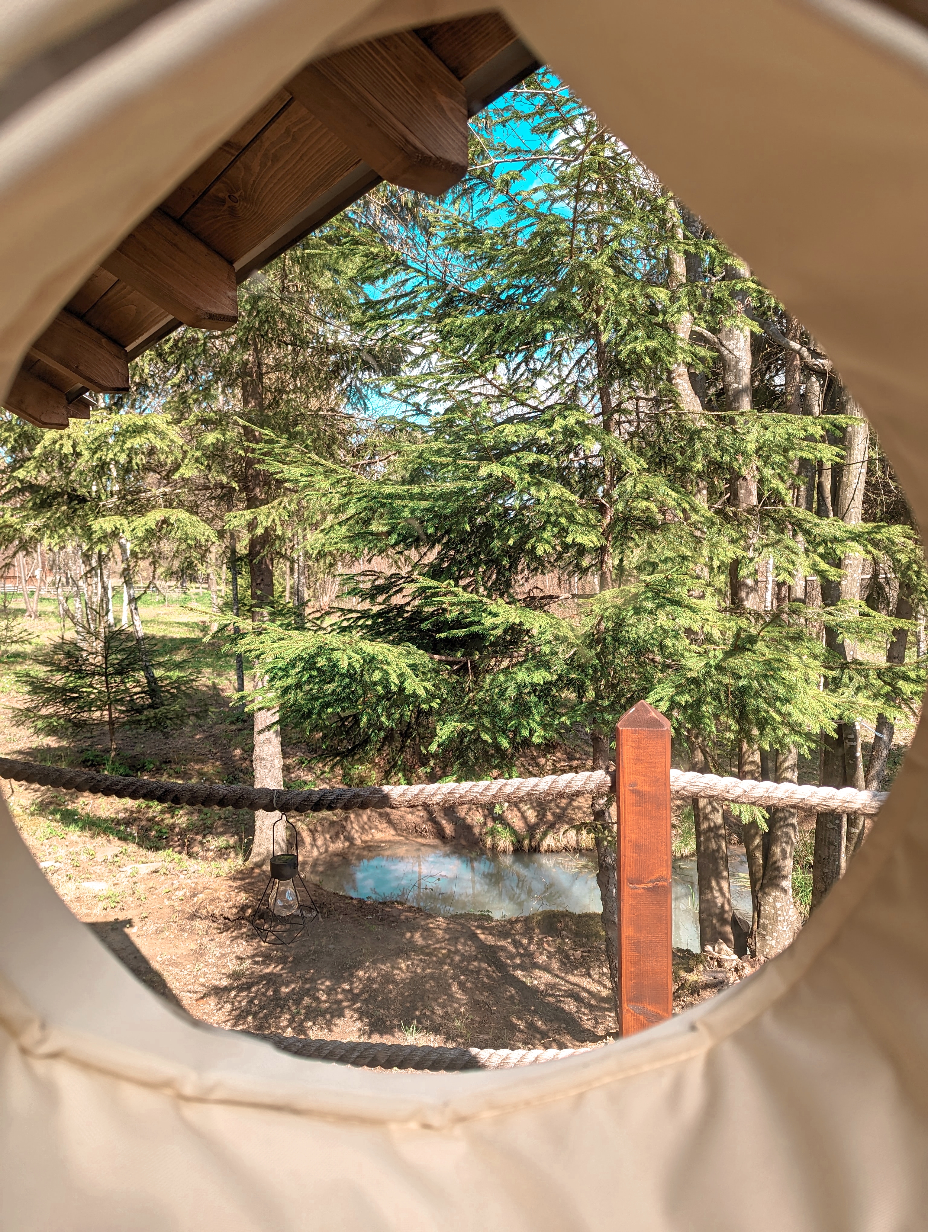 Window Views at Medve Dome